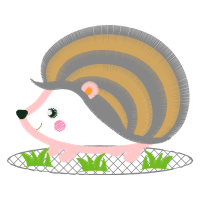 Domestic Turkey Other