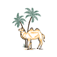 Dromedary Other