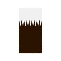 Egypt Ed 4 Inch Other