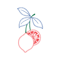 Equatorial Mount Other