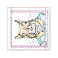 European Shorthair Other