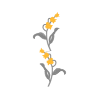 Evening Grosbeak Other