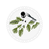 Floating On Silence Remixes Other