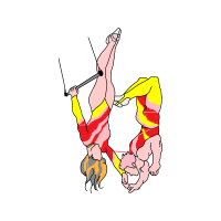 Flying Trapeze Other