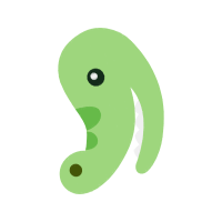 Frogs Other