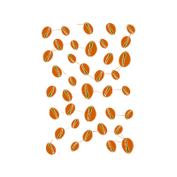Fruit Other