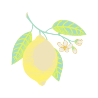Fruit Other