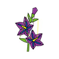 Gentian Other