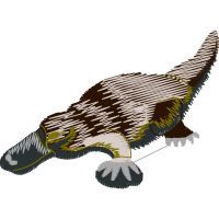 Giant Anteater Other