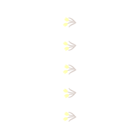 Gold Other