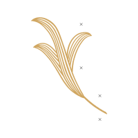 Gold Other