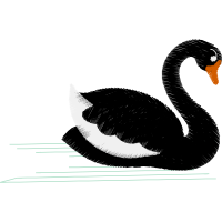 Goose Other