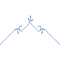 Gradient Descent Other