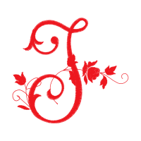 Graphic Other