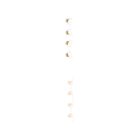 Graphic Other