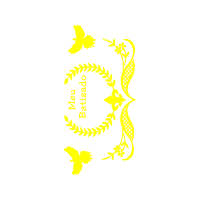 Graphic Other