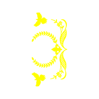 Graphic Other