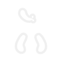 Graphic Other