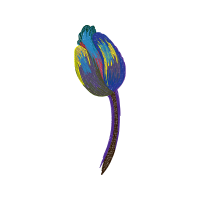Graphic Other