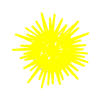 Graphic Other