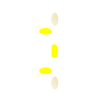 Graphic Other