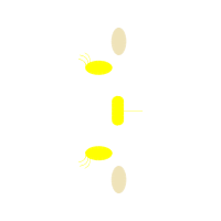 Graphic Other