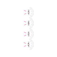 Graphic Other