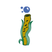 Graphic Other