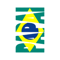Graphic Other
