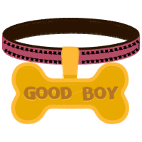 Graphic Other