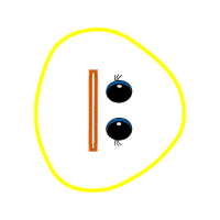 Graphic Other