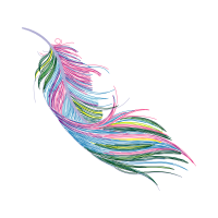 Graphic Other