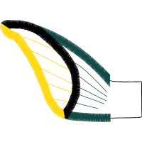 Graphic Other