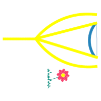 Graphic Other