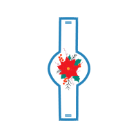 Graphic Other