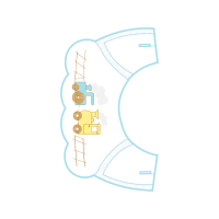 Graphic Other
