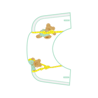 Graphic Other