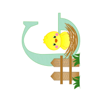 Graphic Other