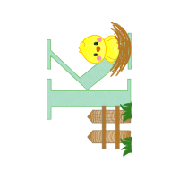 Graphic Other
