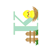 Graphic Other
