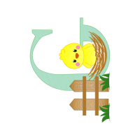 Graphic Other