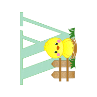 Graphic Other