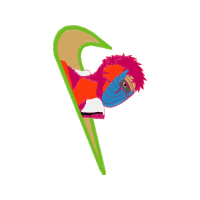 Graphic Other
