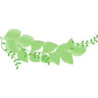 Graphic Other