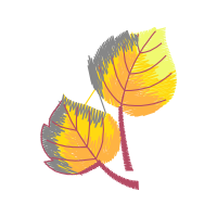 Graphic Other