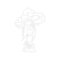 Graphic Other