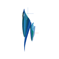 Graphic Other