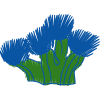 Graphic Other