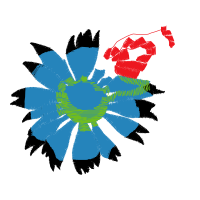 Graphic Other