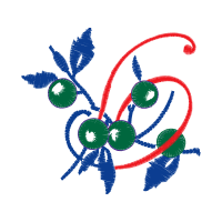 Graphic Other